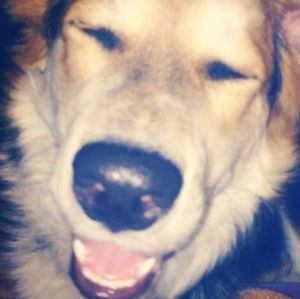 Meet your Posher, Janice